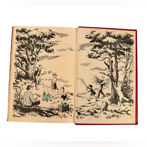 (Book) Vintage/Retro “The Happy Hollisters And The Secret Fort,” By Jerry West. - Picture 7 of 7